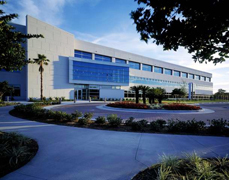 Johnson & Johnson - Vistakon